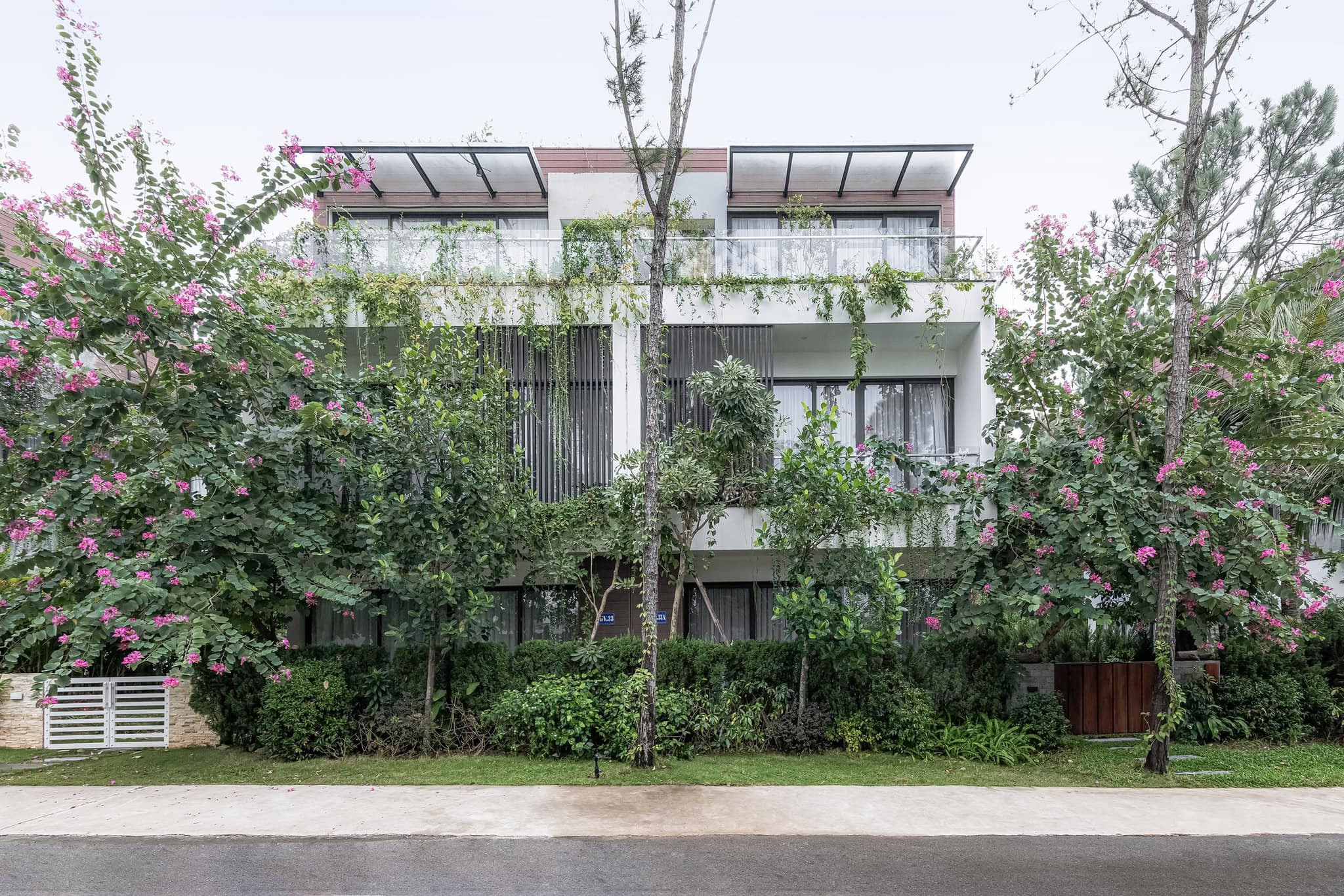 Biệt thự song lập bao quanh là ‘khu rừng’ xanh mướt 2 Biệt thự song lập bao quanh là ‘khu rừng’ xanh mướt 2