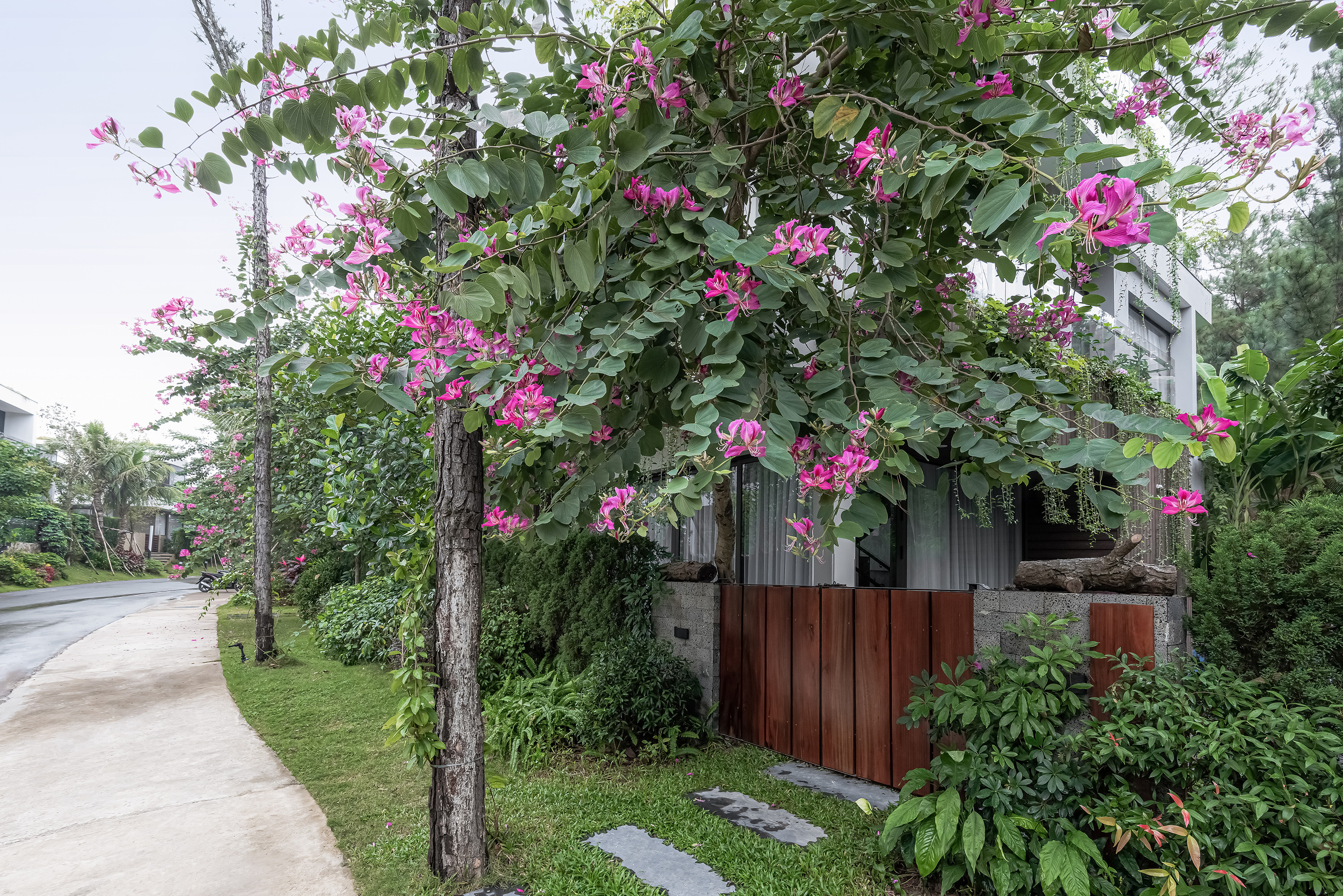 Biệt thự song lập bao quanh là ‘khu rừng’ xanh mướt 3 Biệt thự song lập bao quanh là ‘khu rừng’ xanh mướt 3