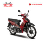 SYM ELEGANT 50 giá bán thông số kỹ thuật và đánh giá chi tiết mới nhất 5