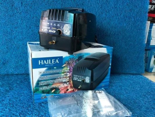 Máy Sủi Khí Hailea CP: Giải Pháp Oxy Tối Ưu Cho Hồ Koi Của Bạn 1 Máy sủi tích điện Hồ Koi Hailea CP 60-100-120