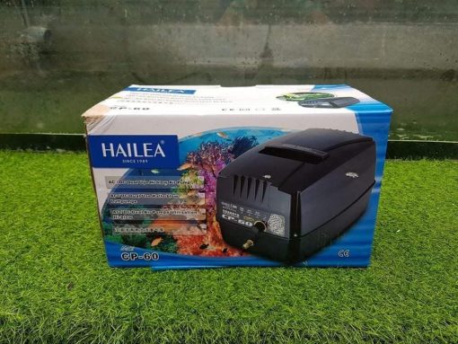 Cứu Nguy Hồ Koi Khi Mất Điện: Giải Pháp Toàn Diện & Hiệu Quả 2 Máy sủi oxy tích điện cho hồ cá Koi, một giải pháp hiệu quả để duy trì oxy khi mất điện, giúp cá Koi sống khỏe mạnh