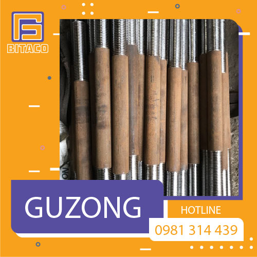 Guzong Ngoai 01