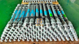 Gia Bu Long Neo M24