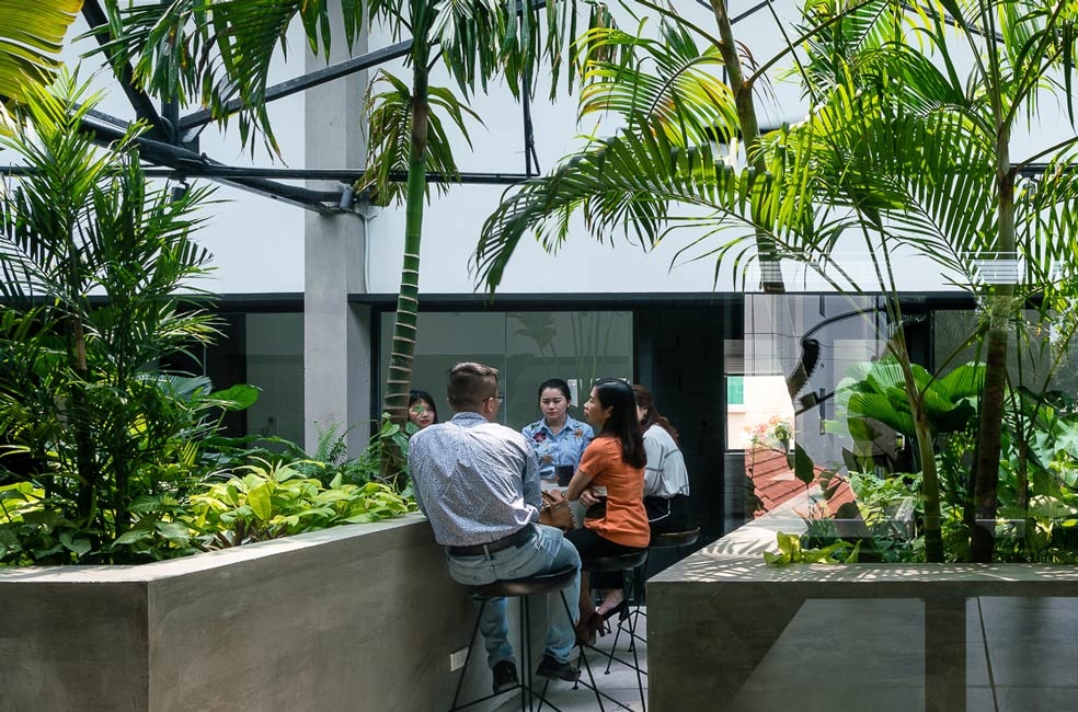 Cải tạo nhà máy in cũ thành co-working space đậm chất rừng xanh 1