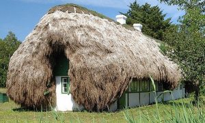 Ngôi nhà độc đáo lợp 32 tấn rong biển ở Đan Mạch 1