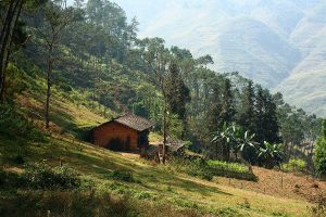 Khám phá kiến trúc nhà người Mông trên cao nguyên đá Đồng Văn 8