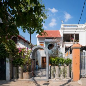 Ngắm ngôi nhà tổ chim của ba mẹ con ở Hà Nội 2