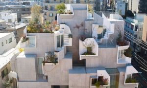 Độc đáo ngôi nhà hữu cơ với kiến trúc đan xen tầng lớp 6