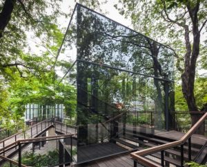 Ngôi nhà tàng hình "giấu" mình giữa vườn cây xanh tốt ở Thái Lan 9