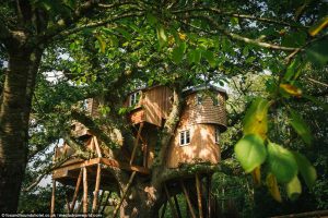 Những thú vị bên trong căn nhà trên cây lớn nhất nước Anh 7