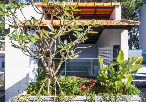 Nhà phố "phong cách nghỉ dưỡng" ở trung tâm Sài Gòn 11