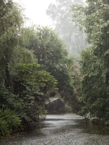 Ngỡ ngàng trước ngôi nhà tàng hình độc đáo ở Bồ Đào Nha 27