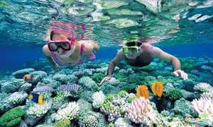 Kinh nghiệm khám phá đảo ngọc Phú Quốc 6