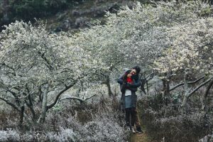 Kinh nghiệm chọn phòng khách sạn tại sapa cho tuần trăng mật. 28