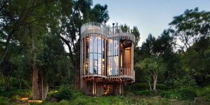 Độc đáo nhà trên cây tiện nghi không kém khách sạn 5 sao 2