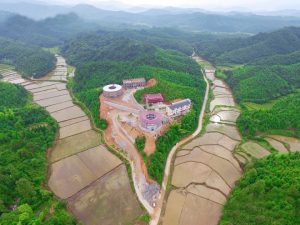 Biệt thự gốm sứ giữa rừng của cụ bà 86 tuổi 15