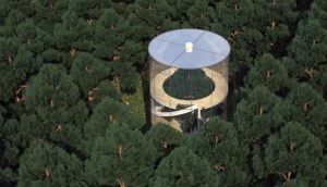 Nhà kính hình ống tuyệt đẹp giữa rừng cây 3