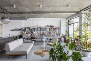 Cải tạo căn hộ dành cho "thế giới" sách và cây xanh tự nhiên 16