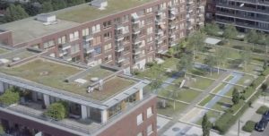 Đây là cách chống ngập lụt trong đô thị mà không cần tới cống thoát nước 42