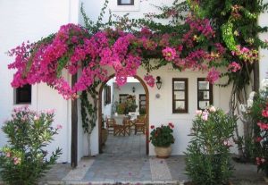 Lưu ý khi làm cổng nhà để đón sinh khí, chặn đen đủi 7