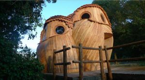 Khám phá nhà gỗ hình cú mèo ở vùng quê nước Pháp 3