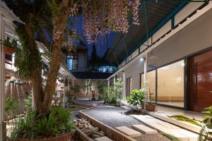 Ngôi nhà lưng chừng đồi với một nửa diện tích dành cho thiên nhiên 4