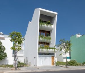 Cây xanh "phủ kín" không gian sống bên trong nhà ống hướng Tây 30