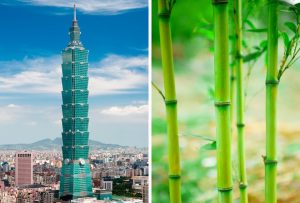 Những tòa nhà nổi tiếng lấy cảm hứng từ cây cỏ 57