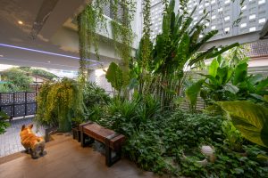 Căn biệt thự chứa cả sân vườn nhiệt đới xanh mát bên trong 45