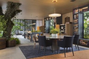 Thú vị ngôi nhà có cây lớn mọc xuyên mái 26