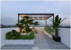 Choáng ngợp trước nhà ống diện tích nhỏ, vườn cảnh bonsai đẹp hút hồn 3