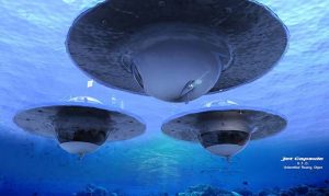 Dự án ngôi nhà nổi siêu bền vững tại Ý 36