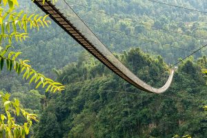 Những cầu treo nổi tiếng thế giới không dành cho người yếu tim 112