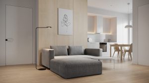 Mẫu căn hộ nhỏ xinh dành cho những người theo chủ nghĩa tối giản 2