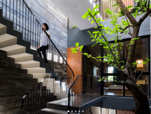 Nhà phố xanh mát như resort nghỉ dưỡng 4