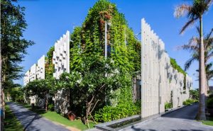 "Bức tranh thanh bình giữa nhịp sống hối hả của thành phố" 26