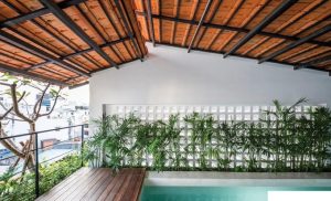 Biến nhà phố diện tích nhỏ thành resort xanh với hồ bơi độc đáo 22