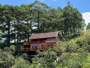 : "Ngôi nhà gỗ Đà Lạt trên đồi, ngập tràn ánh nắng mỗi buổi sáng" 29