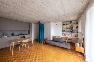 Biến căn hộ 42m2 với một tấm rèm thành phòng mới 46