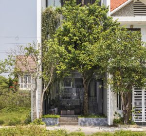 Khám phá vẻ đẹp lịch sử của nhà phố tại Huế: Dòng chảy thời gian trên phố cổ 41