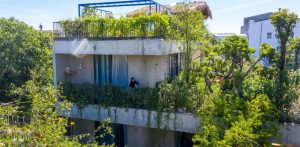 Sân thượng biến thành khu vườn 'bay' cho con: Tình yêu và kỷ niệm tuổi thơ ý nghĩa 65