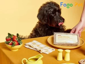 Bí Quyết Ăn Uống Cho Chó Poodle Để Phát Triển Tốt Nhất 20