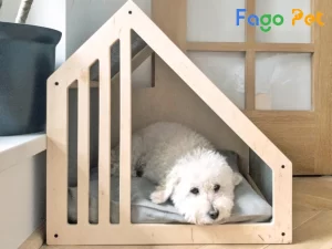 Top 6 Món Đồ Không Thể Thiếu Cho Chó Poodle 6