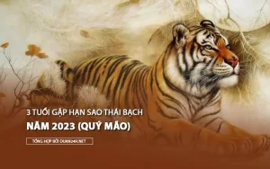 Bé trai 3 tuổi chạm trán với Thái Bạch năm 2023: Sự kiện đáng chú ý của năm Quý Mão. 29