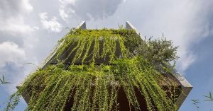 Cơn gió Tây khô nóng tan biến khi ngắm ngôi nhà phố xanh mướt 31