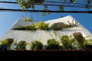 Hẻm lưng chừng ở Nha Trang: Sự kết hợp hoàn hảo giữa đường cong đầy cảm hứng và thiên nhiên xanh mướt 27