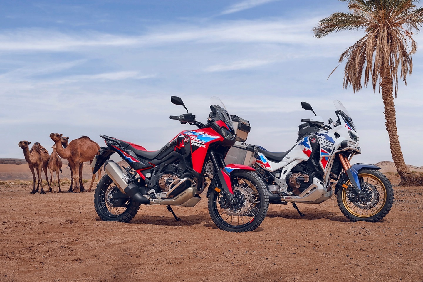 Honda Africa Twin 2024: Những cập nhật đáng chú ý và nâng cấp mới hay hơn 1