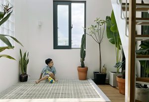 Ngôi nhà ống: Sự tươi sáng của ánh sáng tự nhiên và gió trời 3