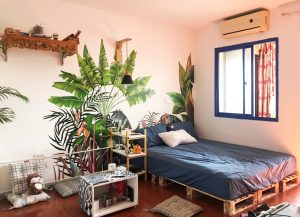 "Chàng trai trẻ biến căn hộ tập thể thành điểm sáng với 10 triệu đồng" 7