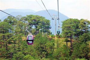 Khám phá kinh nghiệm đi cáp treo Đà Lạt cực đã - Đừng bỏ lỡ! 22